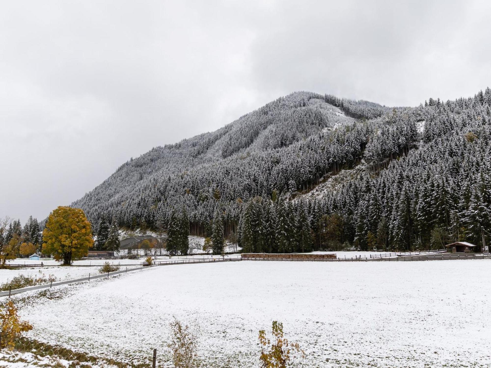 Chalet Apartment In Saalbach Hinterglemm 외부 사진