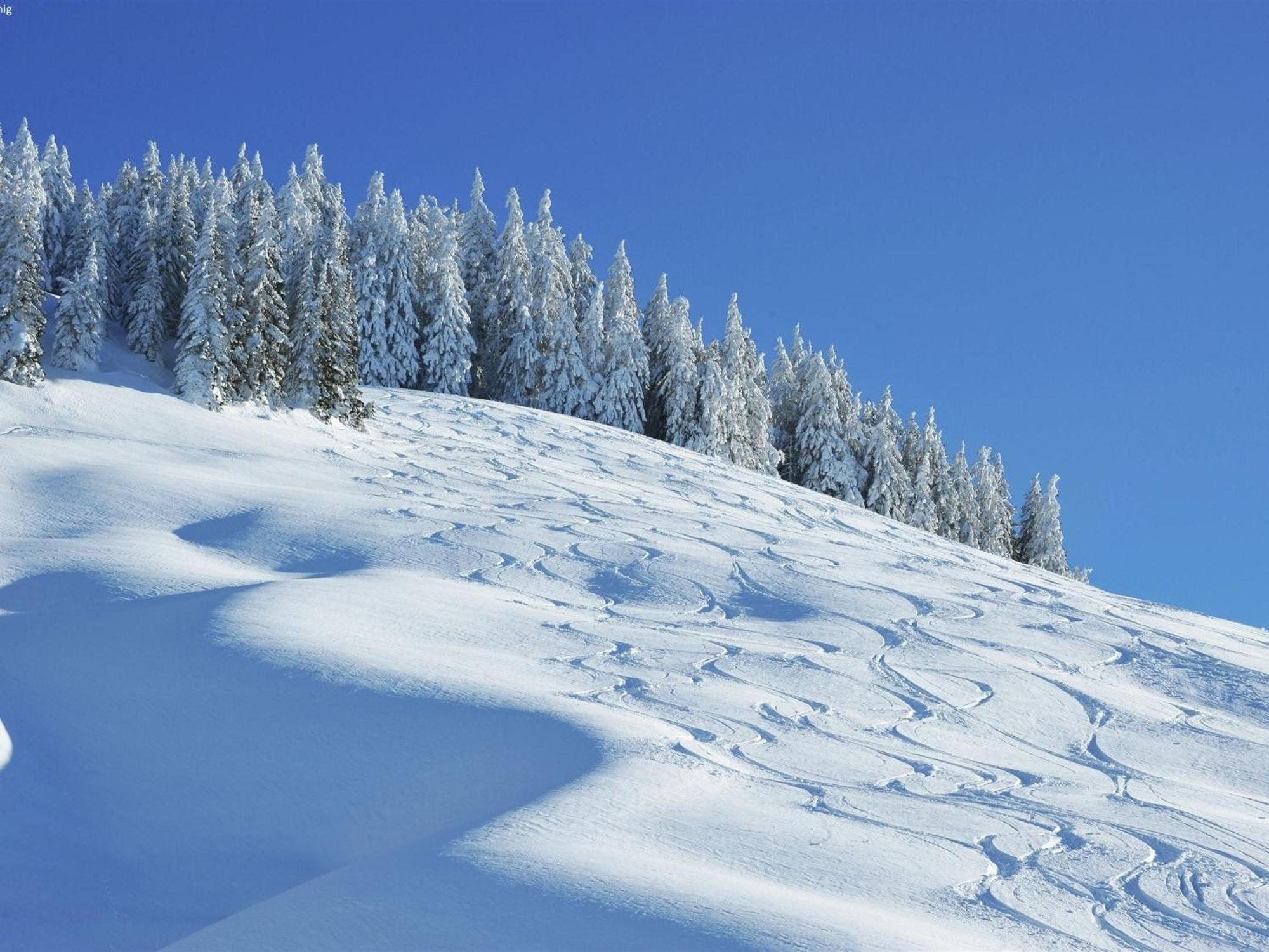 Chalet Apartment In Saalbach Hinterglemm 외부 사진