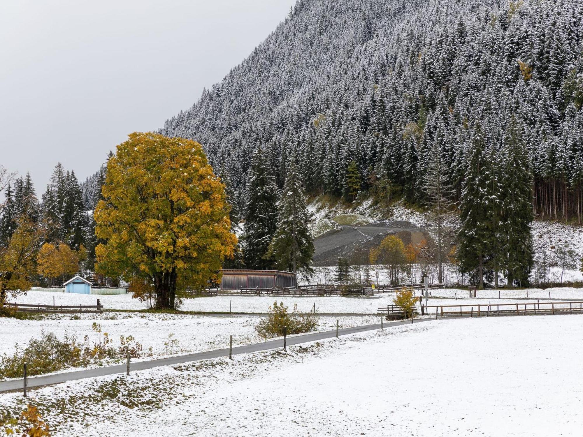 Chalet Apartment In Saalbach Hinterglemm 외부 사진